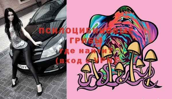 прущие грибы Михайловск
