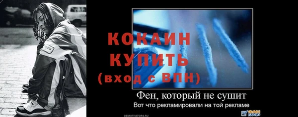 прущие грибы Михайловск