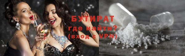 прущие грибы Михайловск