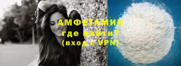 прущие грибы Михайловск