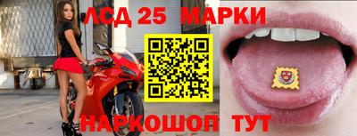 стаф Шахты