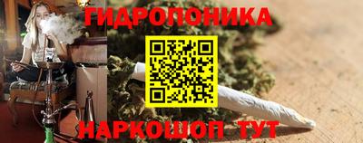 стаф Шахты