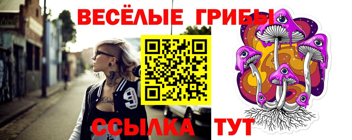 как найти закладки  Галлюциногенные грибы Psilocybe  Вход с VPN  Переславль-Залесский 